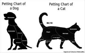 Petting Chart Of Dogs Cats How True Is This Cat Vs