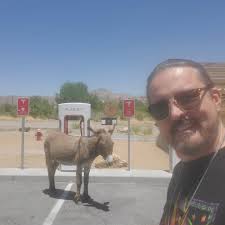 A friend ran into some donkey blocking the super charger in Nevada.