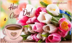 Maybe you would like to learn more about one of these? Morning Have A Blessed Day Gif