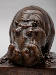 Image result for Hippocratea pallens