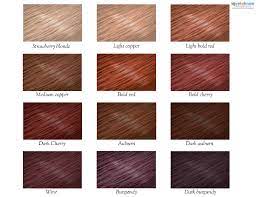 This scarlet red color is a fierce one color application that adds the illusion of highs and lows in the hair. Red Hair Color Chart Vibrant Shades To Inspire Lovetoknow