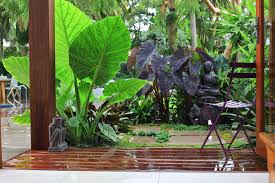 Find a landscape professional near you 10 Spectacular Gardens That Transport You To Bali