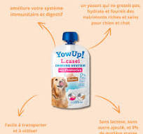 YAOURT- YOWUP! YAOURT Probiotiques L. Casei DINDE