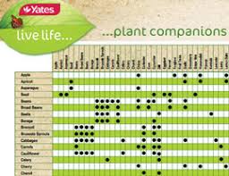 18 reasonable companion vegetables chart