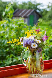 Check spelling or type a new query. Mazzo Di Fiori Estivi