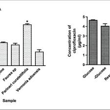 Image result for Psorospermum baumii
