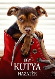 Miután számtalan kalandos életen át kereste küldetését, buddy immár biztos benne. Egy Kutya Negy Utja Stream Hol Lathato Online