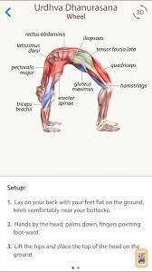 Screenshot 3d Yoga Anatomy Yoga Anatomy Yoga Muscles Hatha Yoga