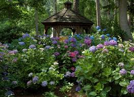 Low Maintenance Outdoors Woodland Garden Outdoortheme Com Hydrangea Garden Woodland Garden Garden Gazebo