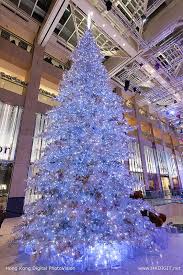 Hong Kong Photo Gallery Blue Christmas Tree Beautiful Christmas Trees Christmas