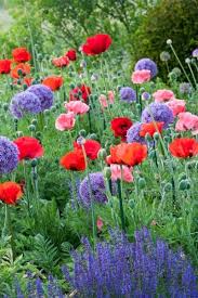 Pin On Garden Inspiration