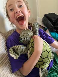 Just want to say a big thank you to the lady who managed to Lilly a turtle  when she left it at the airport thank you so much she is so happy