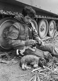 Hayvanlara Merhamet Edin Merhametin Bittigi Yerde Insanlik Da Biter In 2020 Vietnam War Photos Vietnam War War Photography