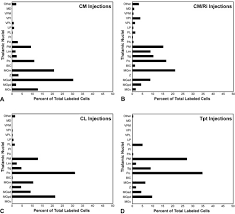 Men när de mördar vännen blake stone försöker de övertyga polisen att hans styvmor är den skyldiga. Multisensory Convergence In Auditory Cortex Ii Thalamocortical Connections Of The Caudal Superior Temporal Plane Hackett 2007 Journal Of Comparative Neurology Wiley Online Library