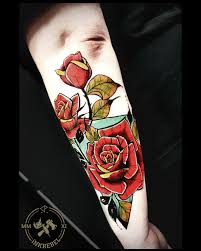 Danny Phoenix Inkrebel