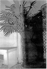 Brazil › keppel fels brasil. Stephan Keppel Hard Copies Camera Austria