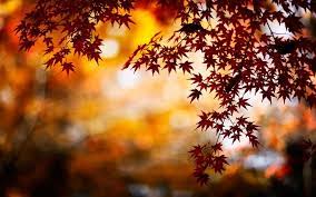 Love Autumn Tumblr Wallpaper Autumn Leaves Wallpaper Bokeh Wallpaper Fall Background