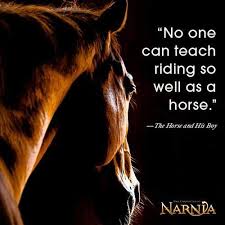 Pin On Equestrian Quotes Jokes