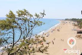 Miami Playa 2021 Que Ver Y Hacer En Miami Playa Tripkay