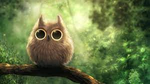 Pin By Leigh Brooker On Hiboux Owl Wallpaper Owl Pictures Cute Owls Wallpaper