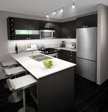 2013 trends for kitchen cabinets colors