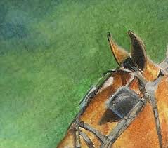 Stretch the paper before you begin. 8 Fantastic Drawing Surfaces For Colored Pencils