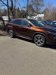 Image result for Autumn Shimmer 2017 NX