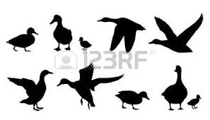Black And White Goose Silhouette Baby Goose Duck Silhouettes On The White Background Duck Silhouette Goose Tattoo Baby Silhouette
