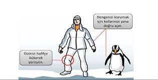 hayvan fobisi ogrenilir mi e psikiyatri