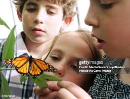 947 The Franklin Park Zoo Stock Photos, High-Res Pictures, and Images