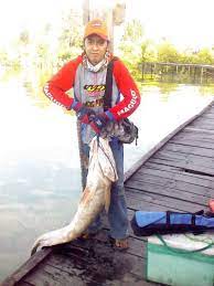 Memancing ikan kakap putih menjadi salah satu kegiatan memancing yang menyenangkan. Pancing Jepang Teknik Berburu Kakap Putih Tanah Bumbu Kal Sel