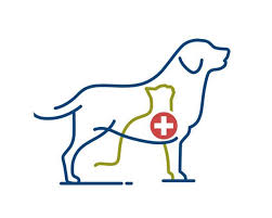 Maybe you would like to learn more about one of these? Pet Paradise Home Facebook