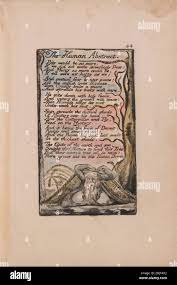 Songs Of Innocence And Of Experience Plate 44 The Human Abstract Bentley 47 Print Made By William Blake 1757 1827 British 1789 To 1794 Relief Etching Printed In Dark Brown With Pen And Black