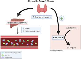 Thyroid hormones affect many body systems, so signs and symptoms of graves' disease can be wide ranging. Gynecomastia As A Presenting Symptom Of Graves Disease In A 49 Year Old Man In Endocrinology Diabetes Metabolism Case Reports Volume 2021 Issue 1 2021