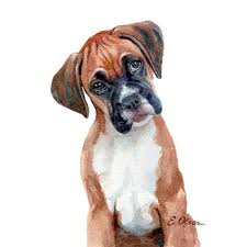 Black And White Boxer Dog Art Watercolor Puppy Boxer Puppy Prints Boxer Art Prints Etsy Puppy Nursery Watercolor Dog Dog Paintings