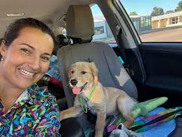 Do others share similar meal views?