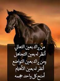pin by noureddineezzahir on للخواطر خواطر horses animals