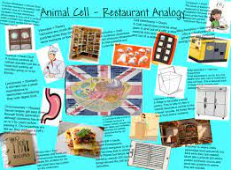 Walt disney is in charge ofanimal kingdom, and he assures that everything at animal kingdom is running the way it should. If Anyone Needed It Well Here You Go Cell Analogy Cells Project Cell City Project