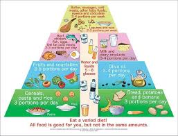 With the right food pyramid for kids, you will no longer have to resort to guesswork. Face 3 Of The Pyramid Food Guide Pyramid For Children And Adolescents Download Scientific Diagram