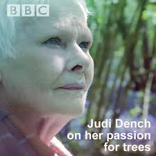 Everything you need to know about Judi Dench's love for trees (and  champagne). BBC Three