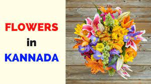 Popular flowers name in kannada 1. Flowers In Kannada Learn Kannada Youtube