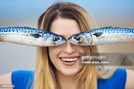 14,891 Fish Catchers Stock Photos, High-Res Pictures, and Images