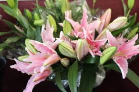 Be sure to remove messy pollen pods and place your lilies. Tips And Advice To Care For Your Cut Flowers Flowers On The Hilltop