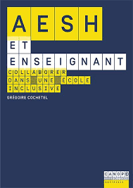 Aesh Et Enseignant Collaborer Dans Une Ecole Inclusive Gregoire Cochetel Reseau Canope Enseignement Sciences De L Education Ecole