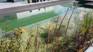 Schwimmteich Bei Hamm Mielke S Naturbadeteich In 2020 Schwimmteich Schwimmen Schwimmteich Bauen