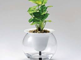 4.5 out of 5 stars. Suisui Self Watering Planter