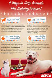 You Can Make A Difference This Holiday Season Here Are Four Ways To Help Animals Animals Holiday Help Inspirational Dog Stories