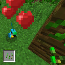 You can tame a parrot in minecraft in 2021 by collecting some seeds, finding a parrot, and then feeding the seeds to the parrot until a heart icon shows up. Minecraft Parrots Tame So It Goes