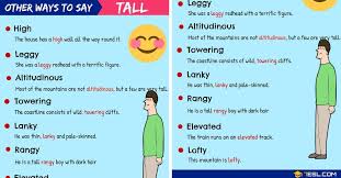 Tall Synonym List Of 90 Synonyms For Tall In English 7 E S L Learn English Vocabulary Other Ways To Say Words To Use