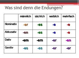 german adjective endings activity unit by frau leonard tpt